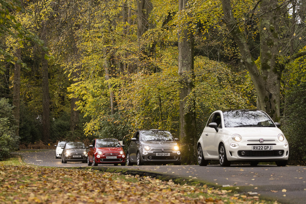 parmesan-job-2-fiats-leaving